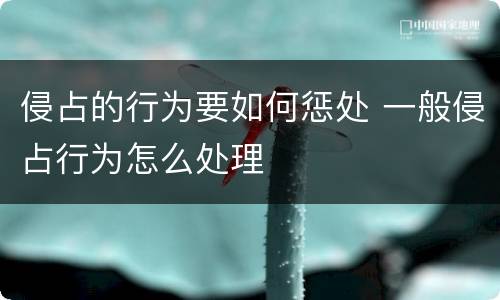 侵占的行为要如何惩处 一般侵占行为怎么处理