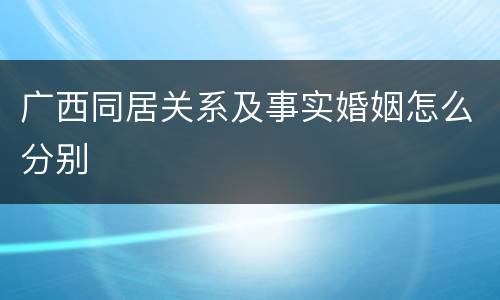广西同居关系及事实婚姻怎么分别