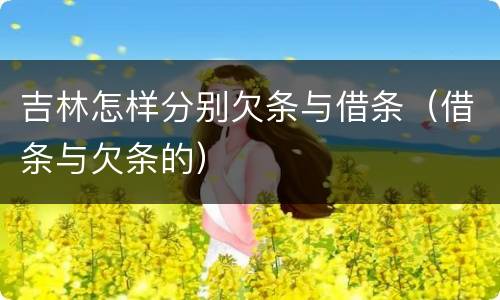 吉林怎样分别欠条与借条（借条与欠条的）