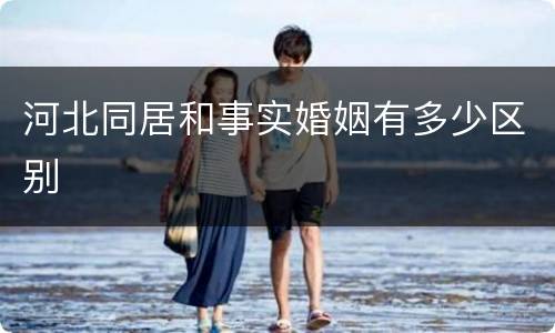 河北同居和事实婚姻有多少区别