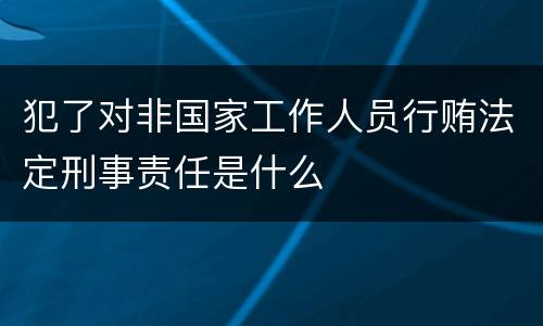 犯了对非国家工作人员行贿法定刑事责任是什么