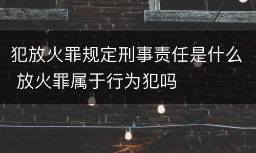 犯放火罪规定刑事责任是什么 放火罪属于行为犯吗