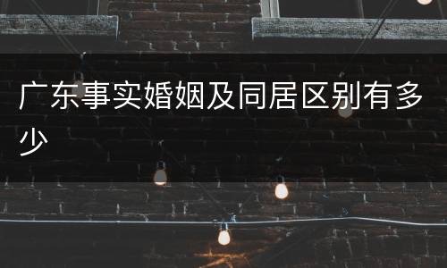 广东事实婚姻及同居区别有多少