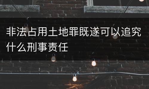 非法占用土地罪既遂可以追究什么刑事责任