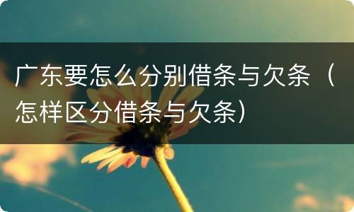 广东要怎么分别借条与欠条（怎样区分借条与欠条）