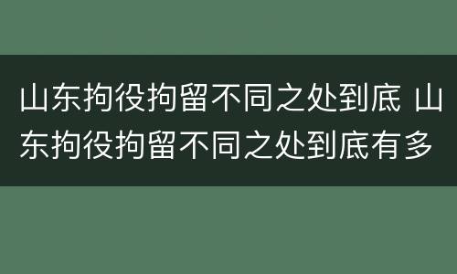 山东拘役拘留不同之处到底 山东拘役拘留不同之处到底有多严重