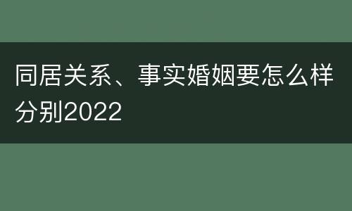 同居关系、事实婚姻要怎么样分别2022