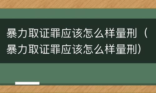 暴力取证罪应该怎么样量刑（暴力取证罪应该怎么样量刑）