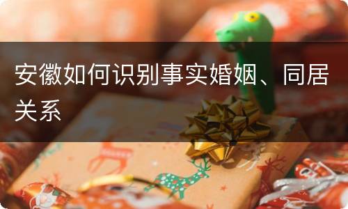 安徽如何识别事实婚姻、同居关系