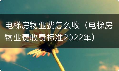 电梯房物业费怎么收（电梯房物业费收费标准2022年）