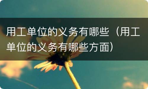 用工单位的义务有哪些（用工单位的义务有哪些方面）