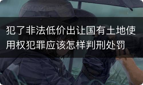 犯了非法低价出让国有土地使用权犯罪应该怎样判刑处罚