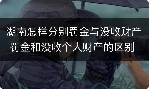 湖南怎样分别罚金与没收财产 罚金和没收个人财产的区别