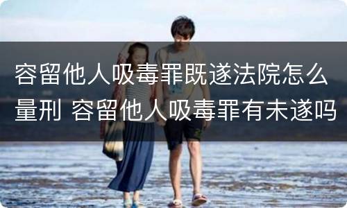 容留他人吸毒罪既遂法院怎么量刑 容留他人吸毒罪有未遂吗