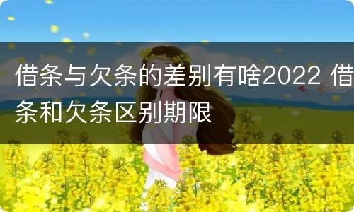 借条与欠条的差别有啥2022 借条和欠条区别期限
