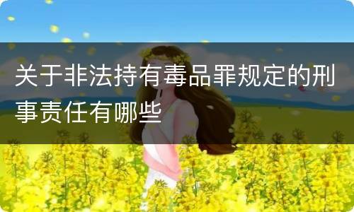 关于非法持有毒品罪规定的刑事责任有哪些