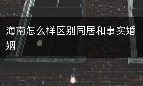 海南怎么样区别同居和事实婚姻