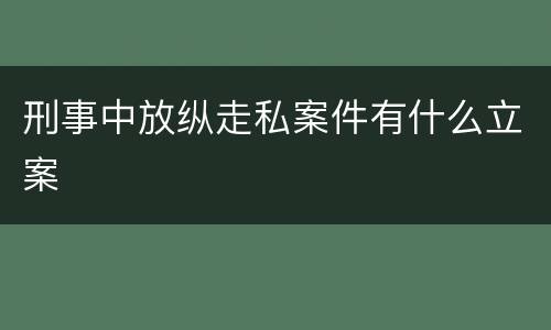 刑事中放纵走私案件有什么立案