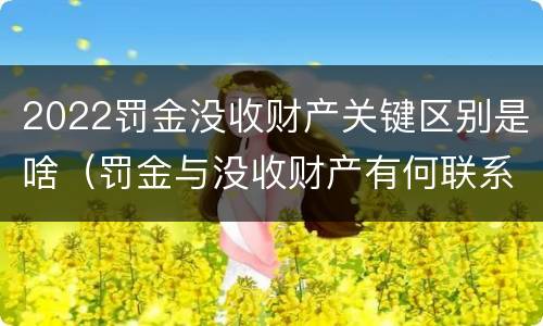 2022罚金没收财产关键区别是啥（罚金与没收财产有何联系和区别?）