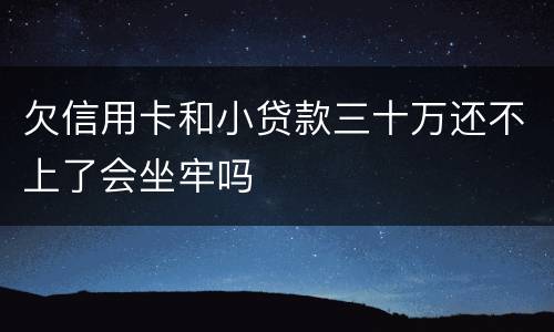 欠信用卡和小贷款三十万还不上了会坐牢吗