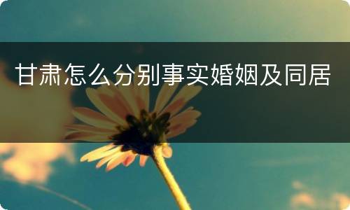 甘肃怎么分别事实婚姻及同居