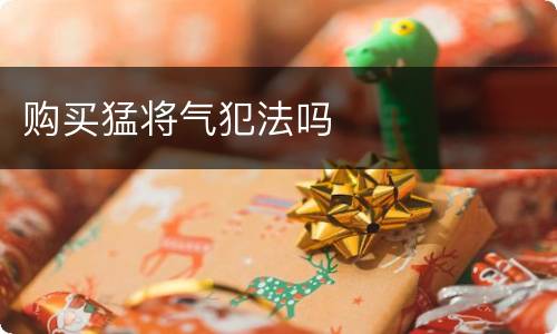 购买猛将气犯法吗