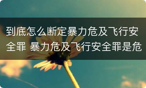 到底怎么断定暴力危及飞行安全罪 暴力危及飞行安全罪是危险犯吗