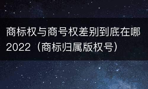 商标权与商号权差别到底在哪2022（商标归属版权号）