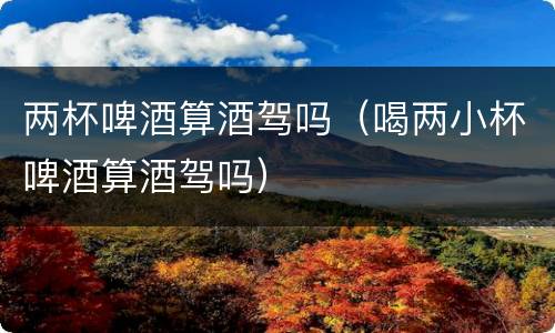 两杯啤酒算酒驾吗（喝两小杯啤酒算酒驾吗）