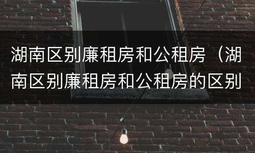 湖南区别廉租房和公租房（湖南区别廉租房和公租房的区别）