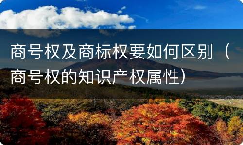 商号权及商标权要如何区别（商号权的知识产权属性）
