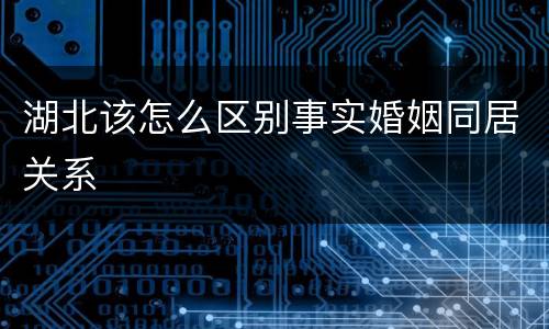 湖北该怎么区别事实婚姻同居关系