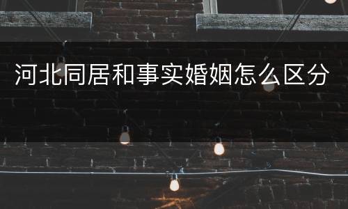 河北同居和事实婚姻怎么区分