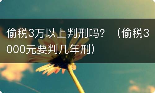 偷税3万以上判刑吗？（偷税3000元要判几年刑）