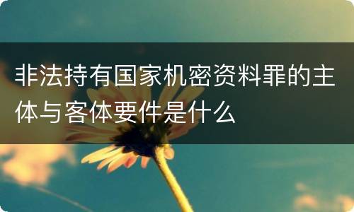 非法持有国家机密资料罪的主体与客体要件是什么