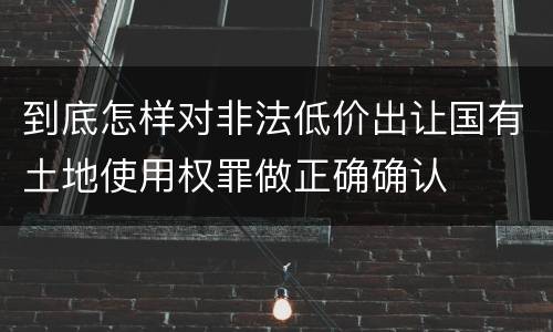 到底怎样对非法低价出让国有土地使用权罪做正确确认
