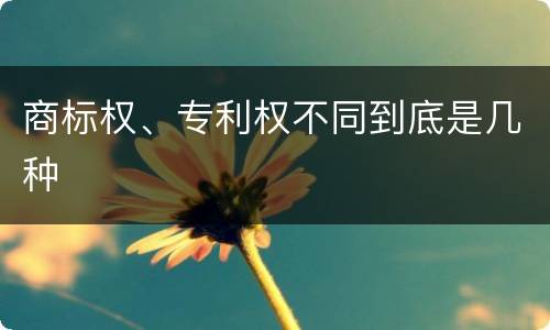 商标权、专利权不同到底是几种