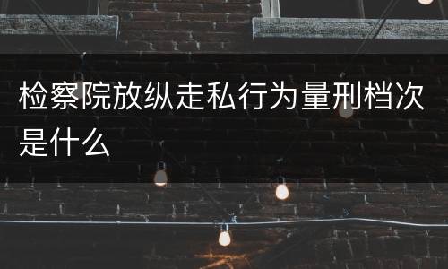 检察院放纵走私行为量刑档次是什么