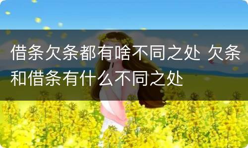 借条欠条都有啥不同之处 欠条和借条有什么不同之处