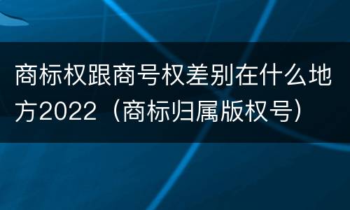 商标权跟商号权差别在什么地方2022（商标归属版权号）
