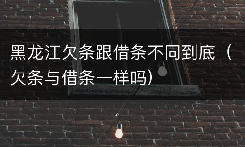 黑龙江欠条跟借条不同到底（欠条与借条一样吗）