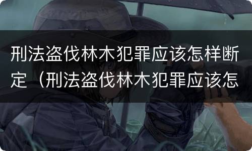刑法盗伐林木犯罪应该怎样断定（刑法盗伐林木犯罪应该怎样断定罪）