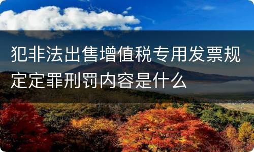 犯非法出售增值税专用发票规定定罪刑罚内容是什么