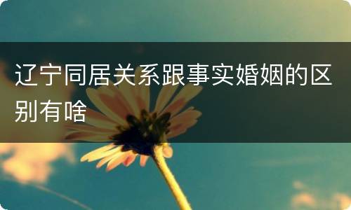 辽宁同居关系跟事实婚姻的区别有啥