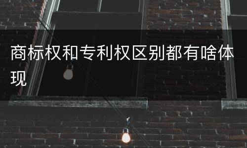 商标权和专利权区别都有啥体现