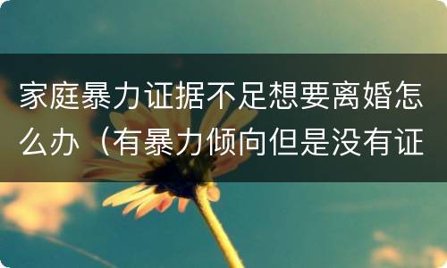 家庭暴力证据不足想要离婚怎么办（有暴力倾向但是没有证据怎么办离婚）
