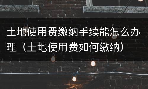 土地使用费缴纳手续能怎么办理（土地使用费如何缴纳）
