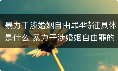 暴力干涉婚姻自由罪4特征具体是什么 暴力干涉婚姻自由罪的概念