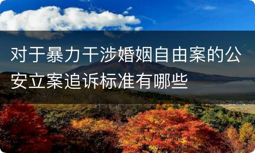 对于暴力干涉婚姻自由案的公安立案追诉标准有哪些