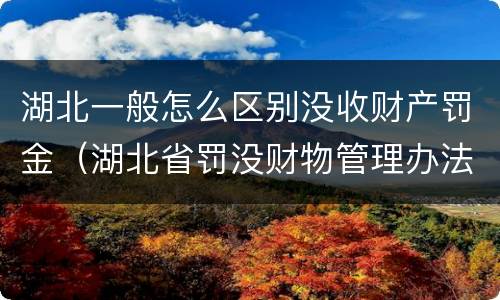 湖北一般怎么区别没收财产罚金（湖北省罚没财物管理办法）